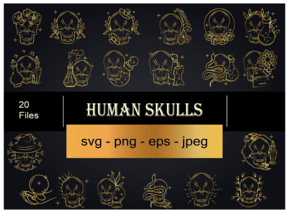 Download Skulls Magic Illustration - Magic illustration Collection